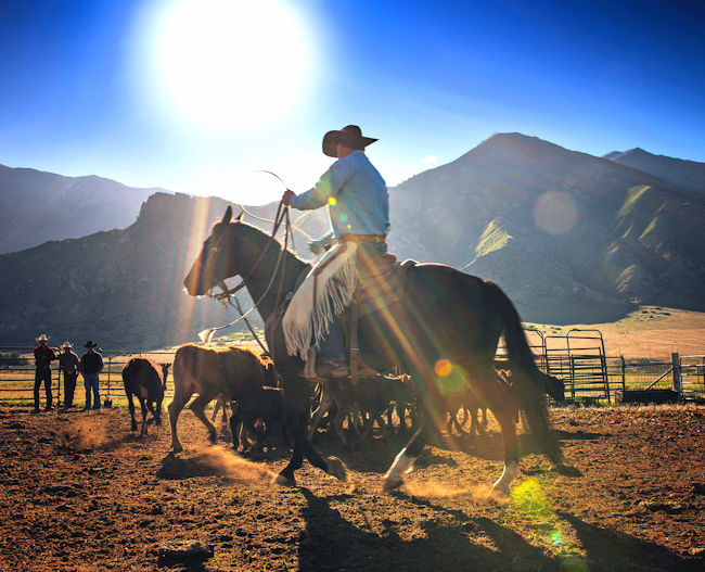 USA Rail Holiday – Texas Discovery with Bon Voyage